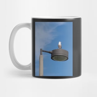 Bird's Eye View Mug